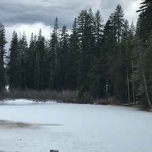 Meet your Posher, Julianne